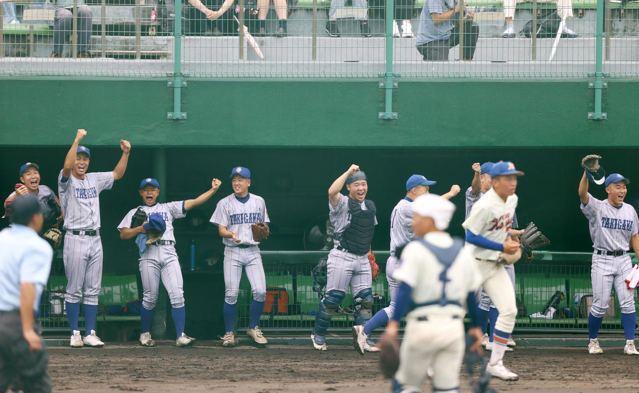神戸国際大付対滝川　2回裏滝川2死満塁、新井の中適時3点三塁打をに沸く滝川の選手ら（撮影・上山淳一）