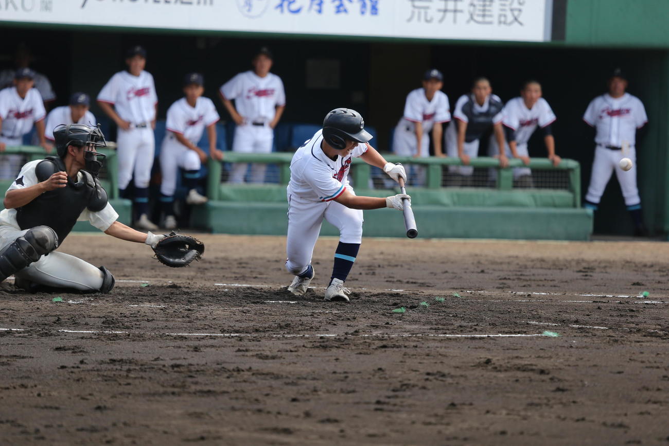 士別翔雲対帯広三条　2回裏士別翔雲1死三塁、3バントスクイズを決める士別翔雲の富長左翼手（撮影・中島洋尚）