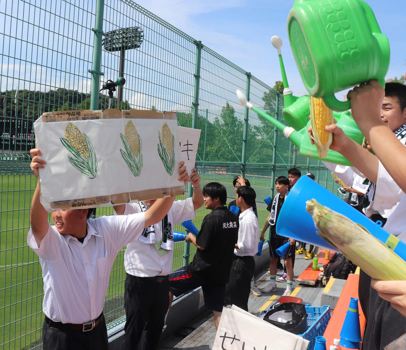 紀北農芸対和歌山南陵　チャンステーマ時にはトウモロコシを持って応援する一塁側の紀北農芸スタンド。トウモロコシが描かれたボードが掲げられると、生徒はトウモロコシを手に持つ