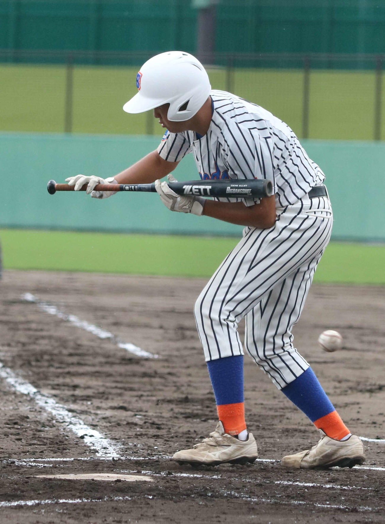 東住吉総合・泉尾工対信太　2回にバントを試みるもバットを引いた信太・高川（撮影・塚本光）