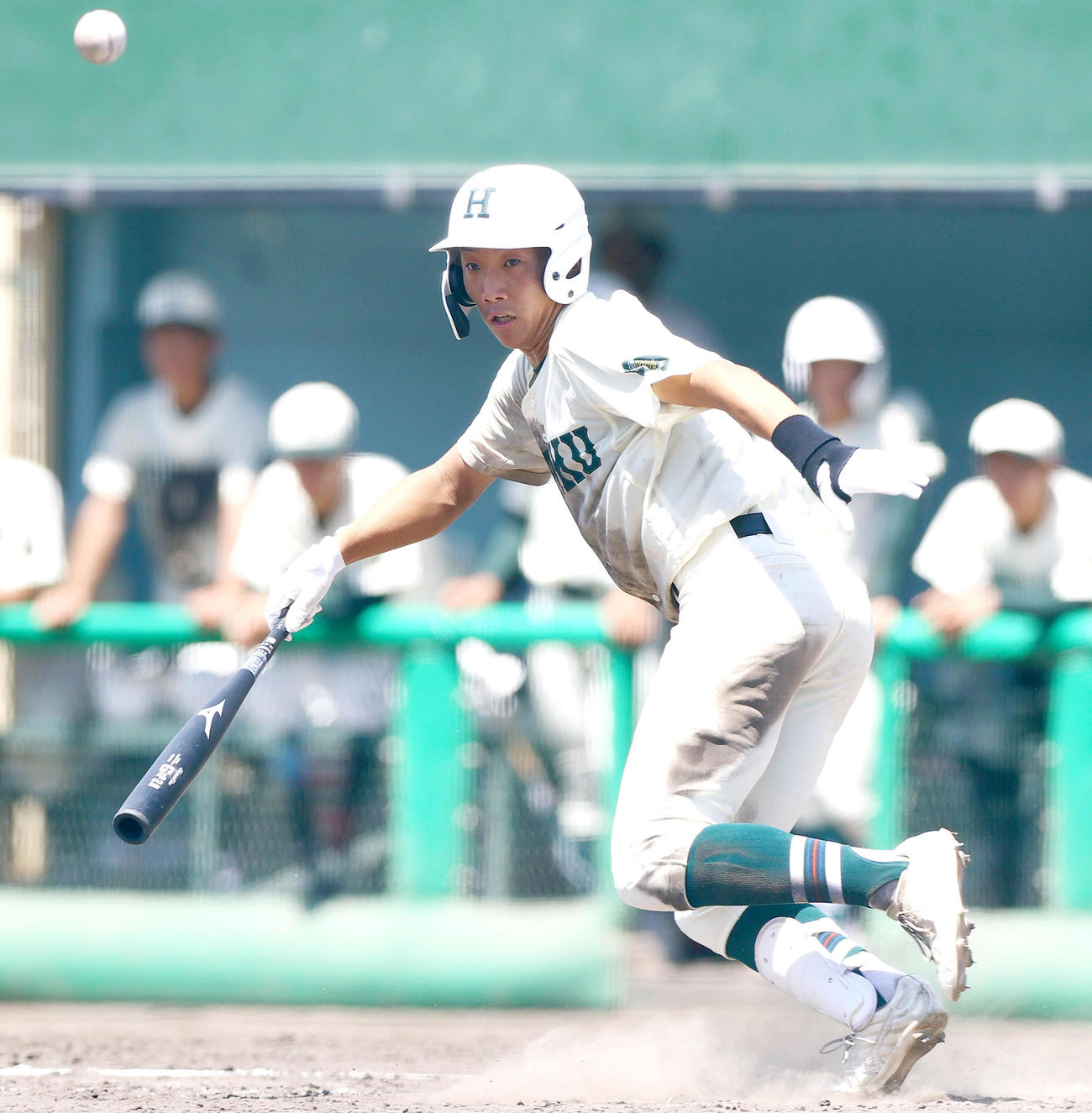 報徳学園対星陵　4回表報徳学園1死二塁、安井はセーフティーバントを決める（撮影・上山淳一）