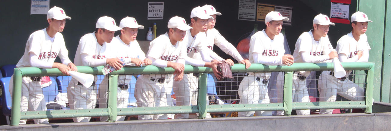 日本学園対早実　9回無死一塁から始まった継続試合をベンチから見つめる早実ナイン（撮影・佐瀬百合子）