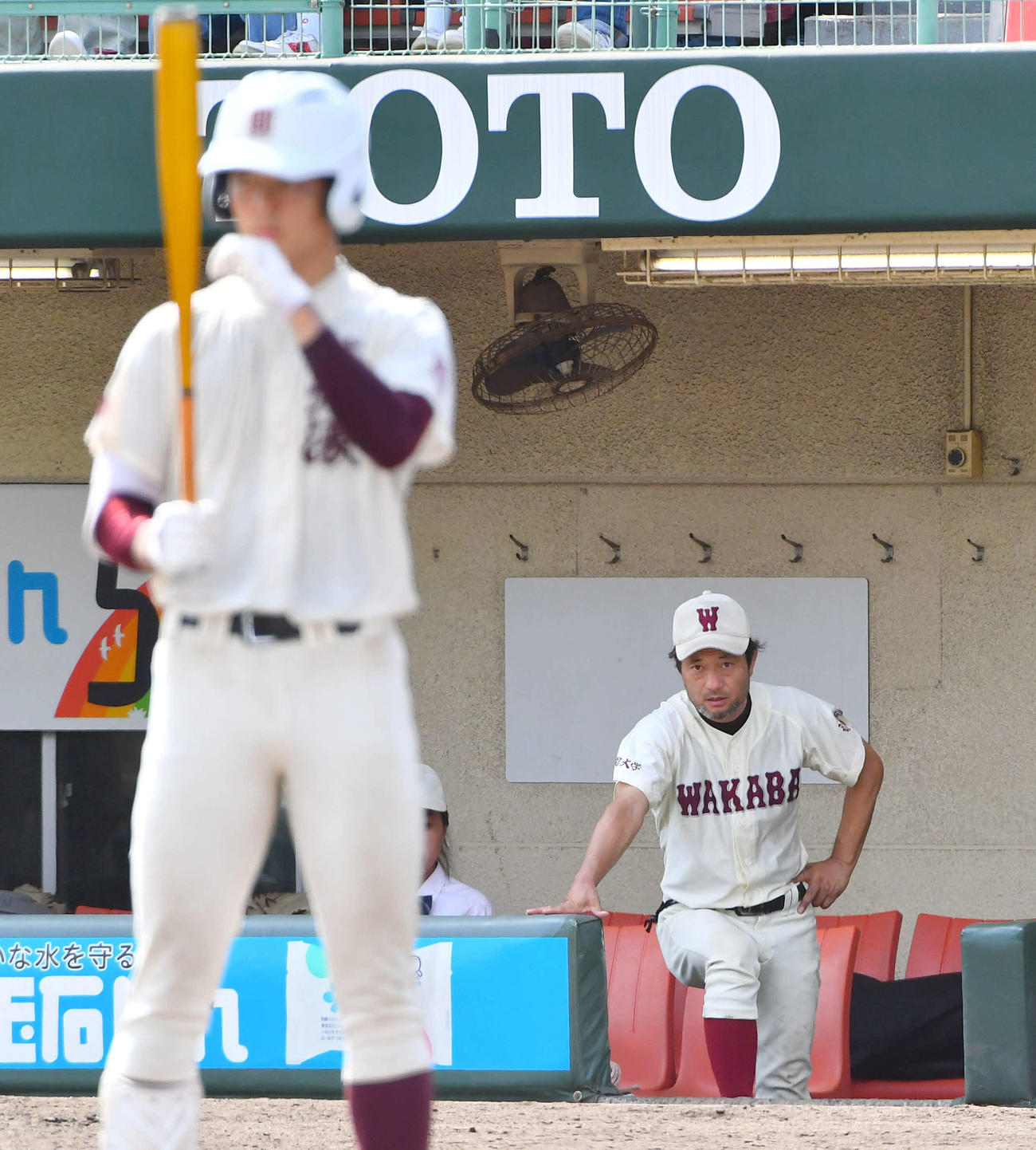 福岡大大濠対福岡大若葉　6回表福岡大大濠2死三塁、打席に入る柴田を見つめる福岡大若葉・土井監督（撮影・岩下翔太）