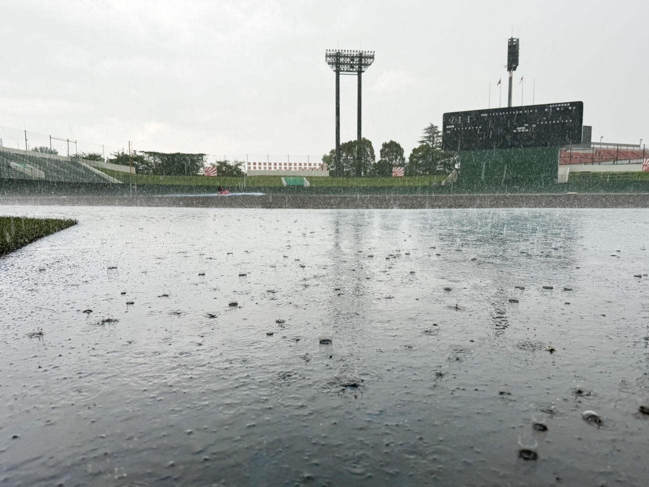 花咲徳栄対西武台　天気悪化で中断される（撮影・菅敏）
