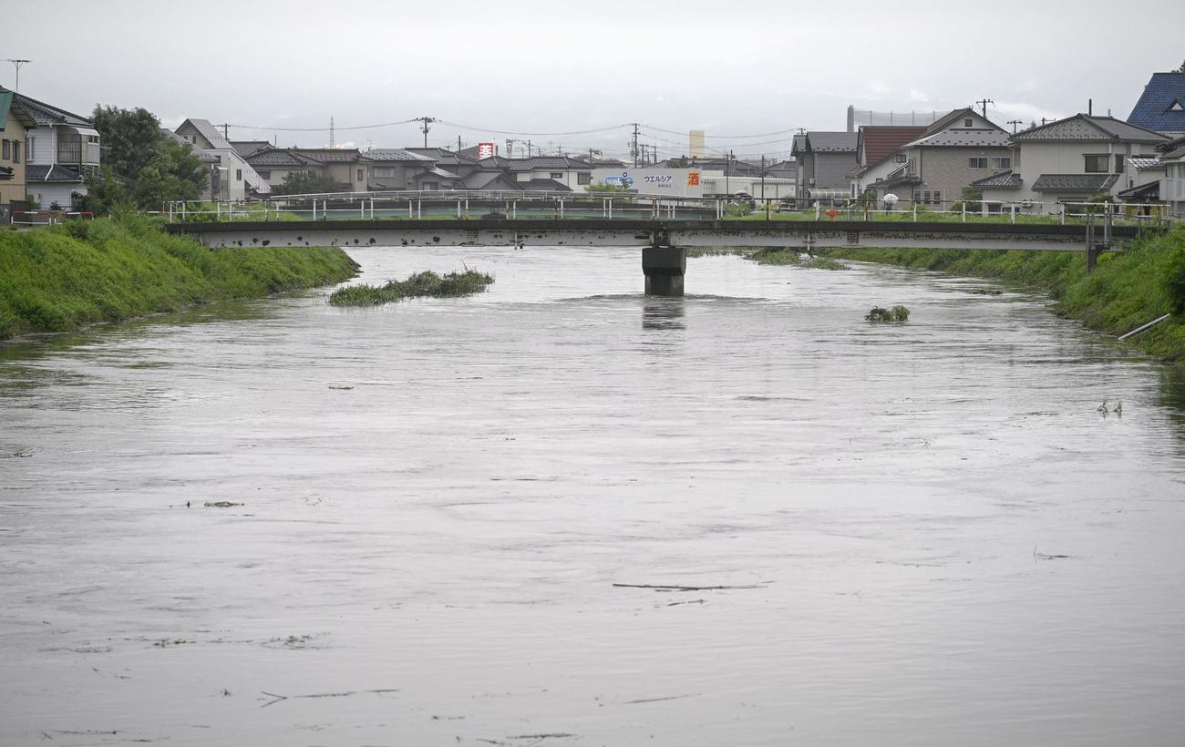 山形県鶴岡市、大雨の影響で増水した新内川（共同）