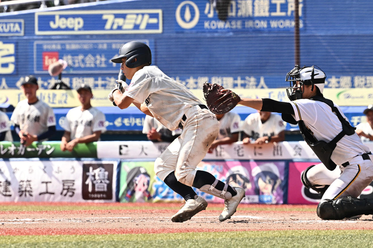 市原中央対市船橋　7回裏市船橋1死二、三塁、スクイズを決める大木（撮影・滝沢徹郎）
