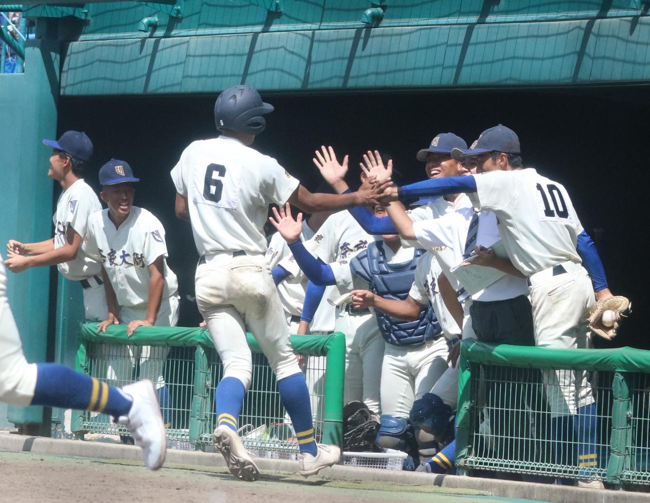 高田商対奈良大付　4回裏奈良大付2死満塁、ベンチに戻り仲間と逆転を喜ぶ岸本（左から3人目）（撮影・塚本光）