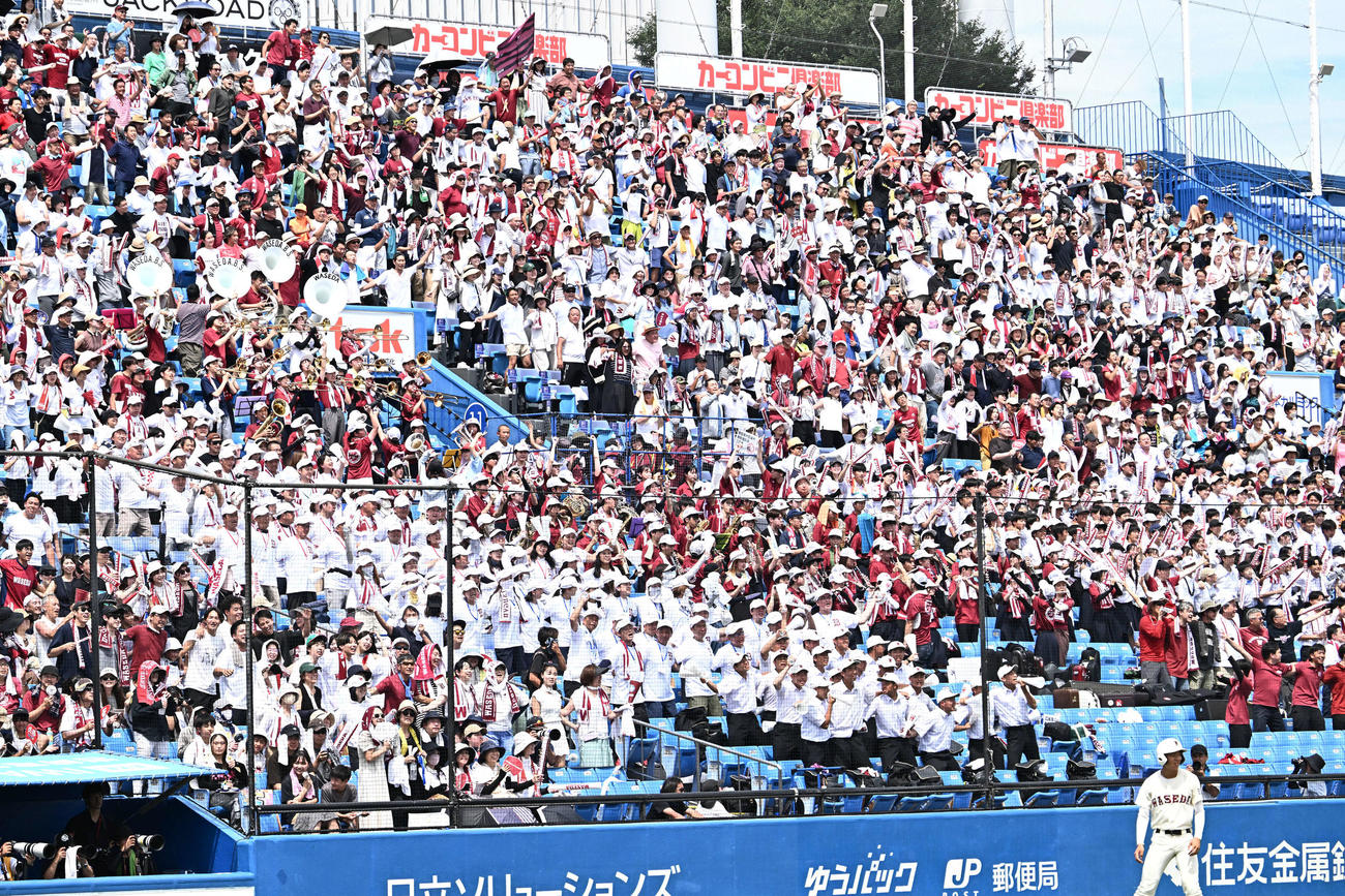 日大三対早実　1回裏、先制し盛り上がる早実の応援団（撮影・滝沢徹郎）