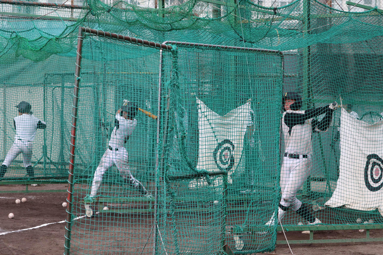 初戦に向け、本格的に打撃練習を開始した石橋の選手たち（撮影・保坂淑子）
