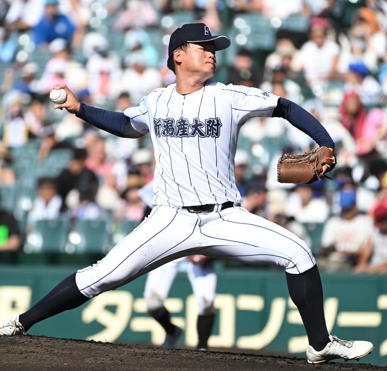 新潟産大付対花咲徳栄　新潟産大付先発の宮田塁翔（撮影・石井愛子）