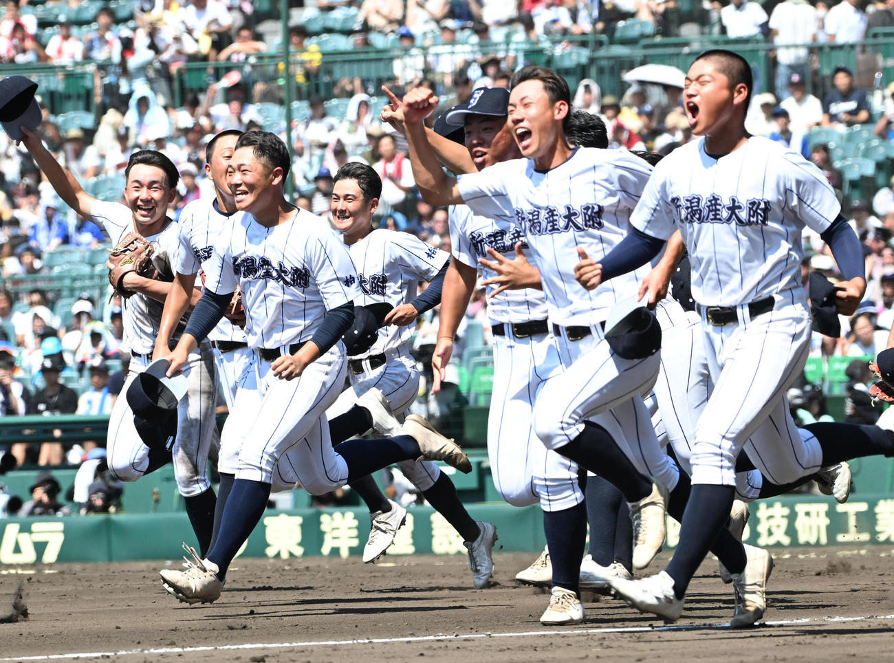 新潟産大付対花咲徳栄　花咲徳栄に勝利しアルプスに駆け出す新潟産大付ナイン（撮影・石井愛子）