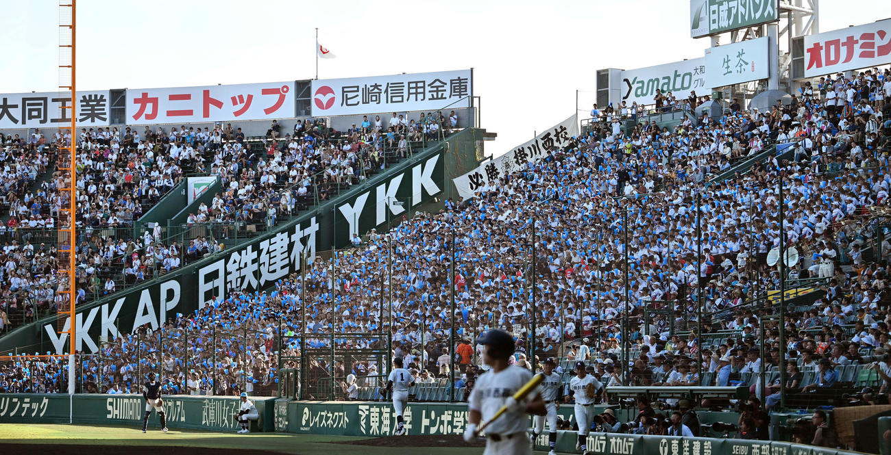 掛川西対日本航空　アルプス席で盛り上がる掛川西の応援団（撮影・滝沢徹郎）