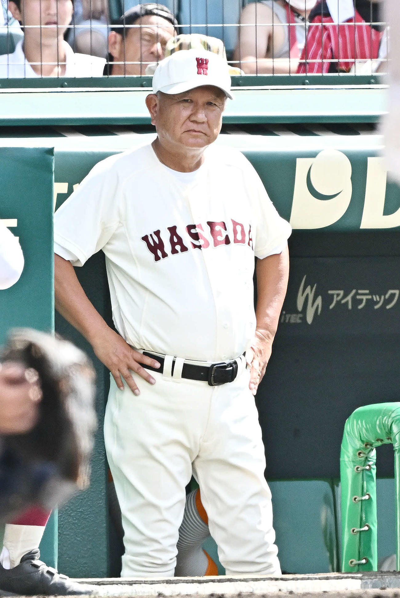 早実対鳴門渦潮　戦況を見守る早実・和泉監督（撮影・滝沢徹郎）