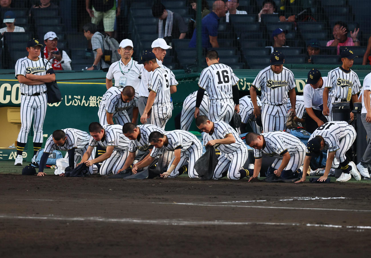 白樺学園対創成館　創成館に敗れ、土を拾う白樺学園ナイン（撮影・藤尾明華）