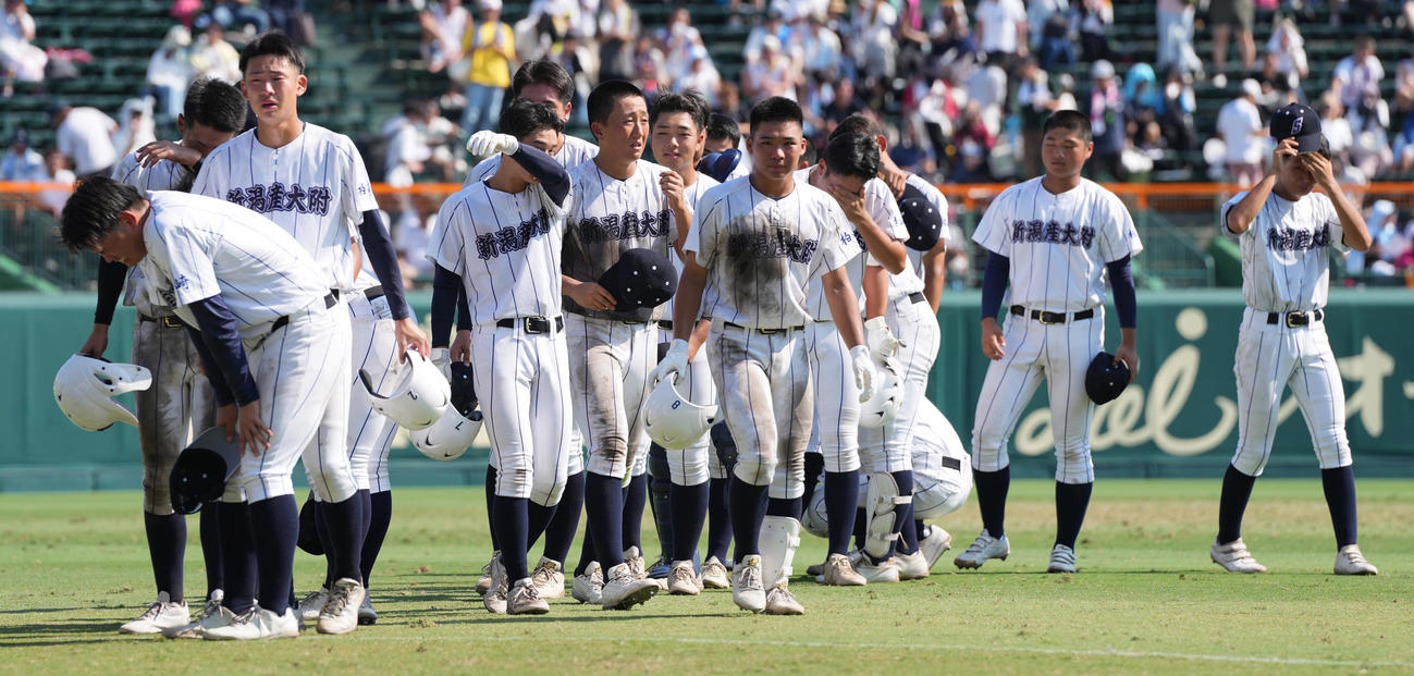 新潟産大付対京都国際　京都国際に敗れ、涙する新潟産大付ナイン（撮影・鈴木みどり）