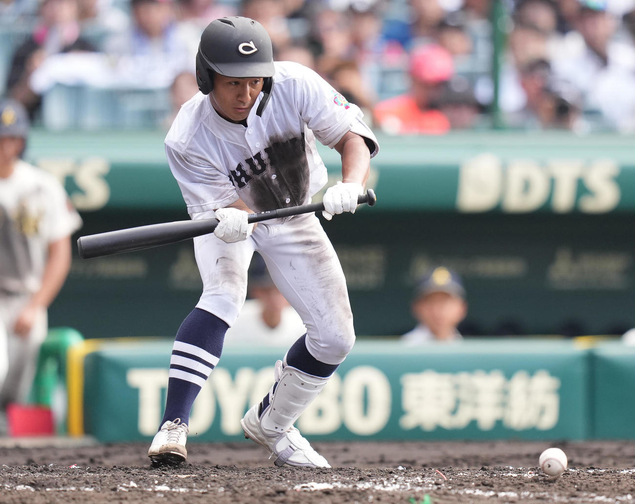 神村学園対中京大中京　4回裏中京大中京1死一、三塁、セーフティースクイズを決める福田（撮影・鈴木みどり）