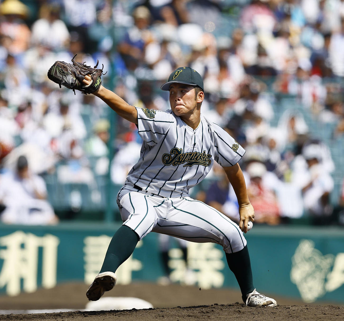 鶴岡東対早実　鶴岡東先発の桜井（撮影・藤尾明華）