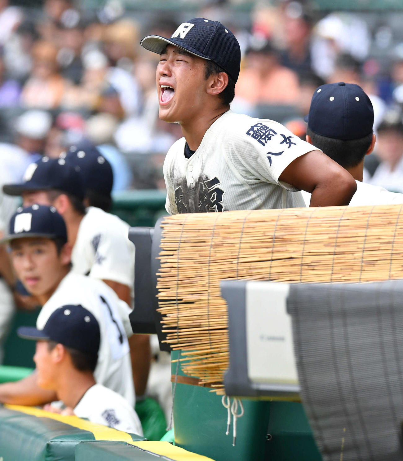 京都国際対西日本短大付　9回裏西日本短大付1死一塁、松門が左前安打を放ち、ベンチで雄たけびをあげる高峰（撮影・岩下翔太）