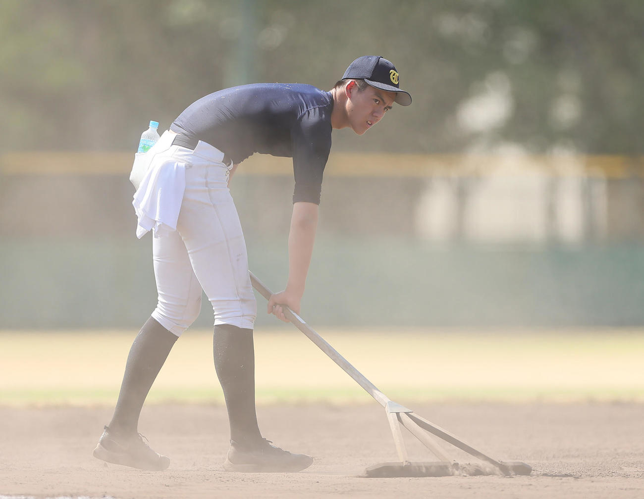 練習を終え、グラウンドにトンボをかける東海大相模・藤田（撮影・足立雅史）
