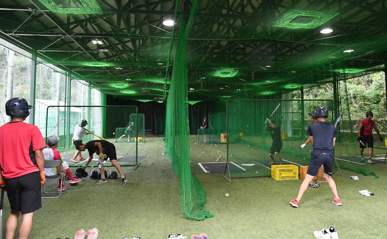 打撃練習を行う京都国際ナイン（撮影・岩下翔太）