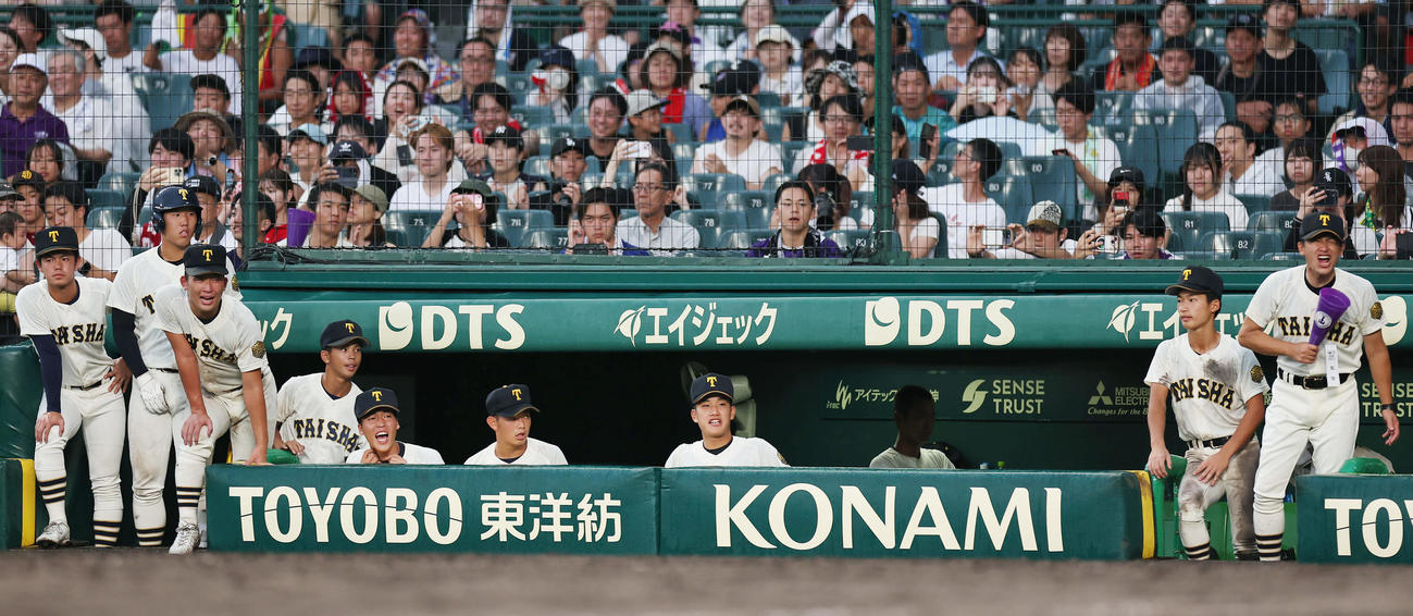 神村学園対大社　9回裏、ベンチから声を出す馬庭（左から3人目）ら大社ナイン。右端は石飛監督（撮影・前田充）