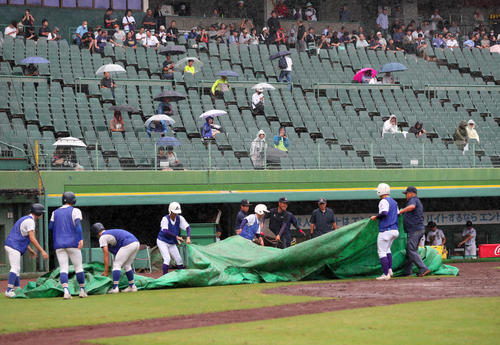 履正社対滋賀短大付　7回表、降雨で中断する（撮影・上山淳一）