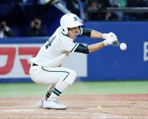 早実対二松学舎大付　12回裏二松学舎大付1死満塁、根本はサヨナラのバント安打を決める（撮影・鈴木正人）