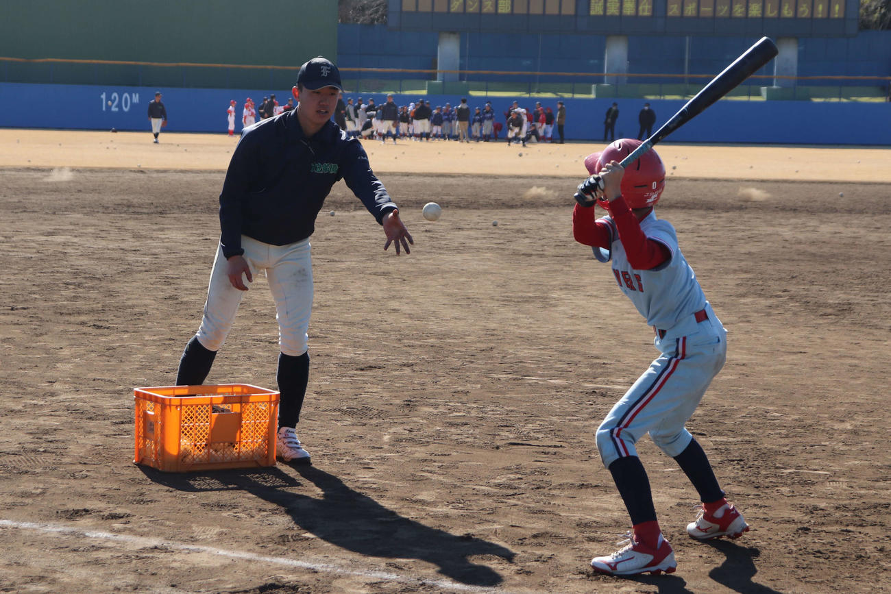 第3回いちふなスポーツフェスタで、小学生に1球1球丁寧にトスを上げバッティング指導をする野球部の選手（撮影・保坂淑子）