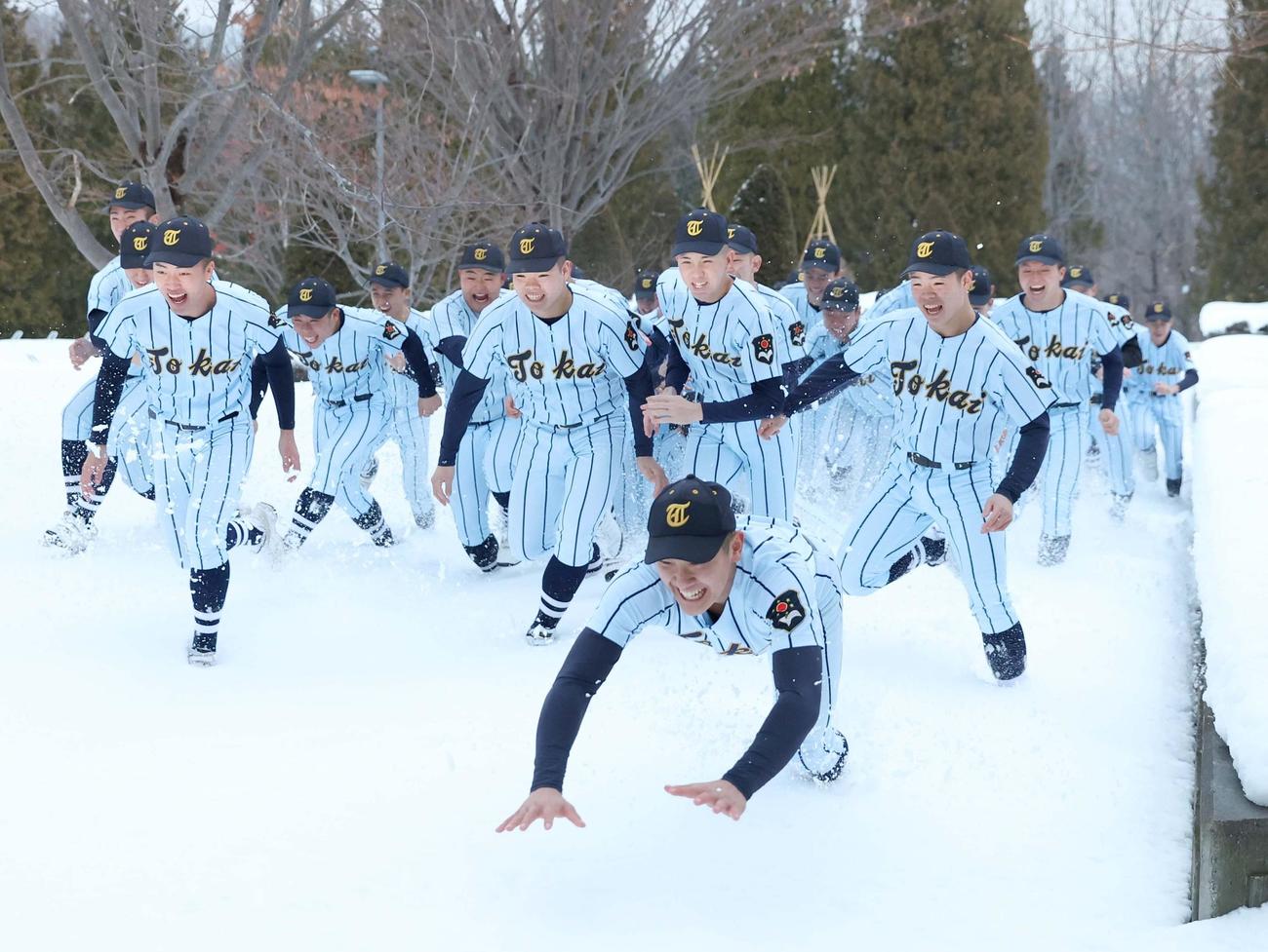 センバツ出場を決め雪道を笑顔で駆ける東海大札幌ナイン（撮影・黒川智章）