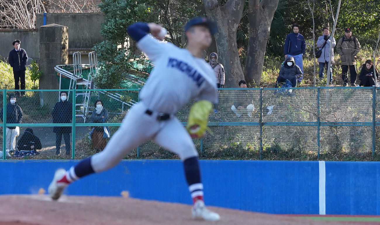 横浜対東大　外野から試合を見つめる観客（撮影・垰建太）