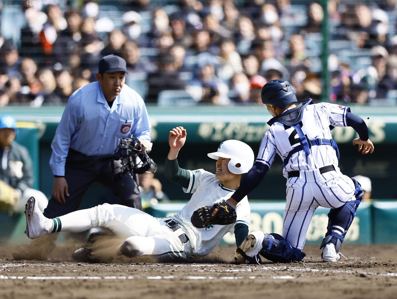 柳ケ浦対二松学舎大付　4回裏二松学舎大付1死一、三塁、根本の投前スクイズで花沢がホームを狙うもタッチアウト。捕手真子（撮影・藤尾明華）