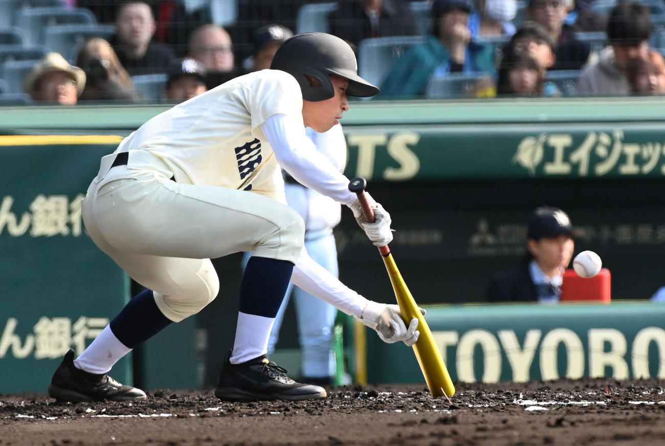 広島商対横浜清陵　1回裏広島商1死一、三塁、藤田は捕前スクイズを決める（撮影・前岡正明）