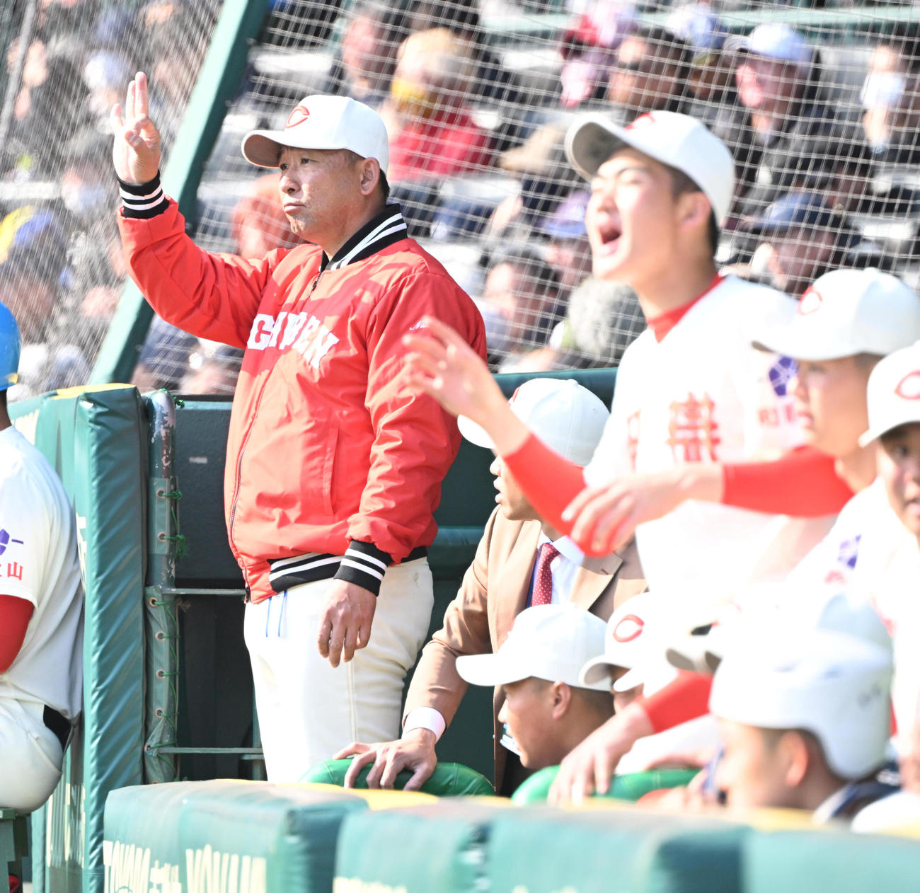 智弁和歌山対千葉黎明　ベンチから指示を出す智弁和歌山・中谷監督（撮影・和賀正仁）