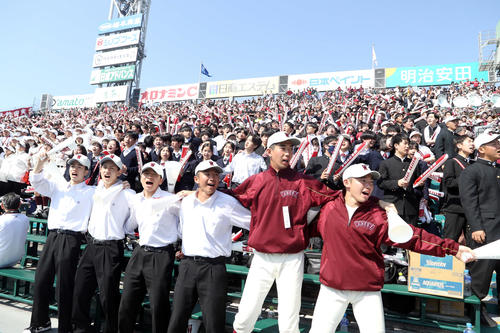 【センバツ】早実アルプス3000人超の大応援団「101年の時を超えていい試合をしてくれた」
