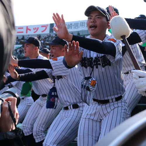 センバツ】滋賀学園のコミカル応援ダンスが聖地に戻る「筋肉を