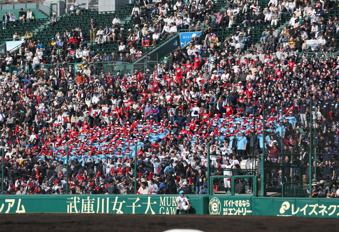 東海大札幌対日本航空石川　グラウンドの選手らに声援を送るアルプスの日本航空石川応援団（撮影・上山淳一
