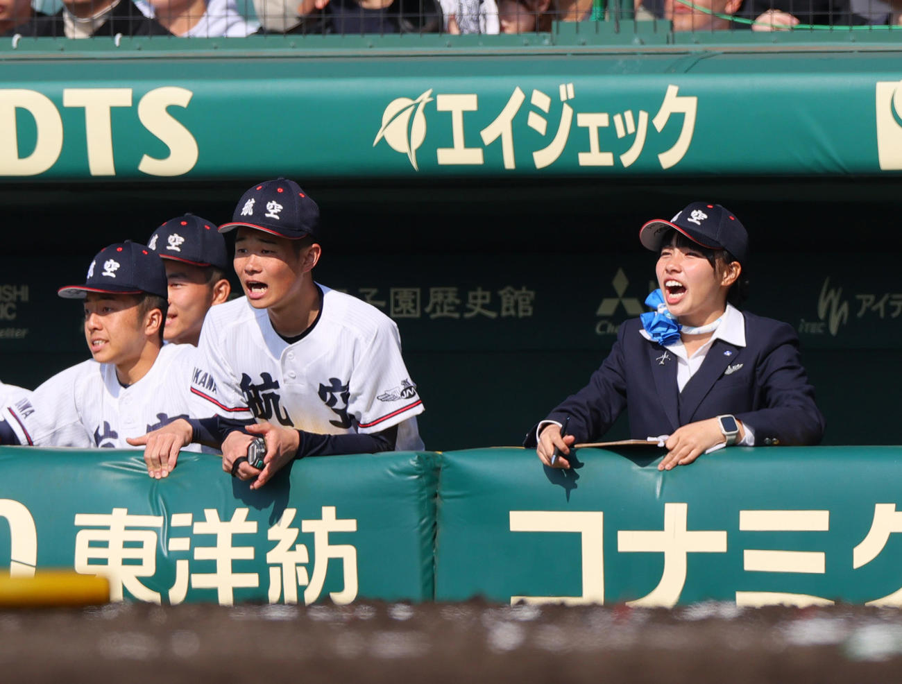 東海大札幌対日本航空石川　ベンチで声を出す日本航空石川の横田記録員（右）（撮影・上山淳一）