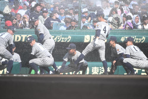 【センバツ】冷たい！　浜風強すぎて阪神園芸の水まきが敦賀気比「直撃」場内もナインも笑い