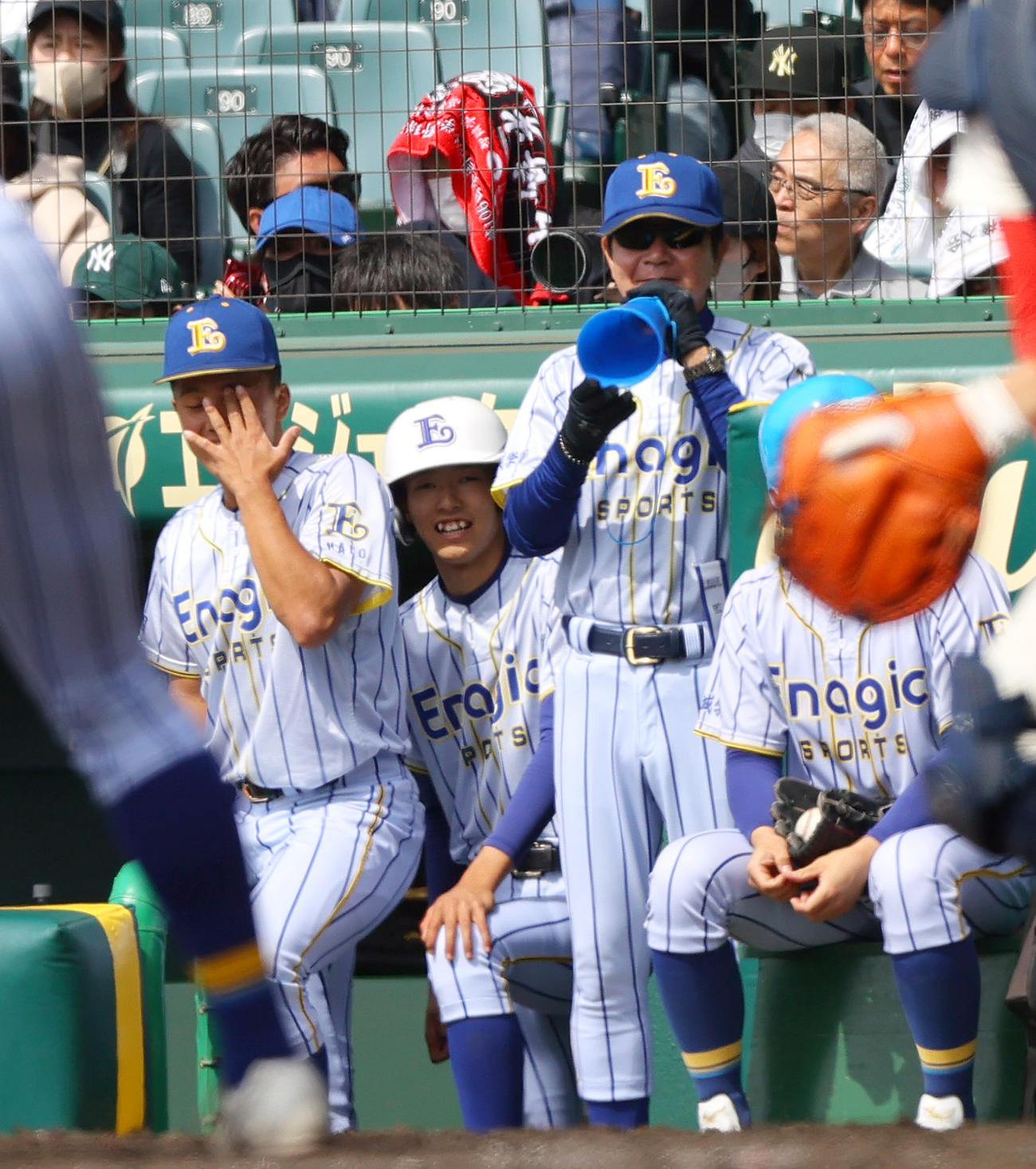 智弁和歌山対エナジックスポーツ　5回裏エナジックスポーツ1死二塁、ベンチで声を出すエナジックスポーツ・神谷監督（右）（撮影・上山淳一）
