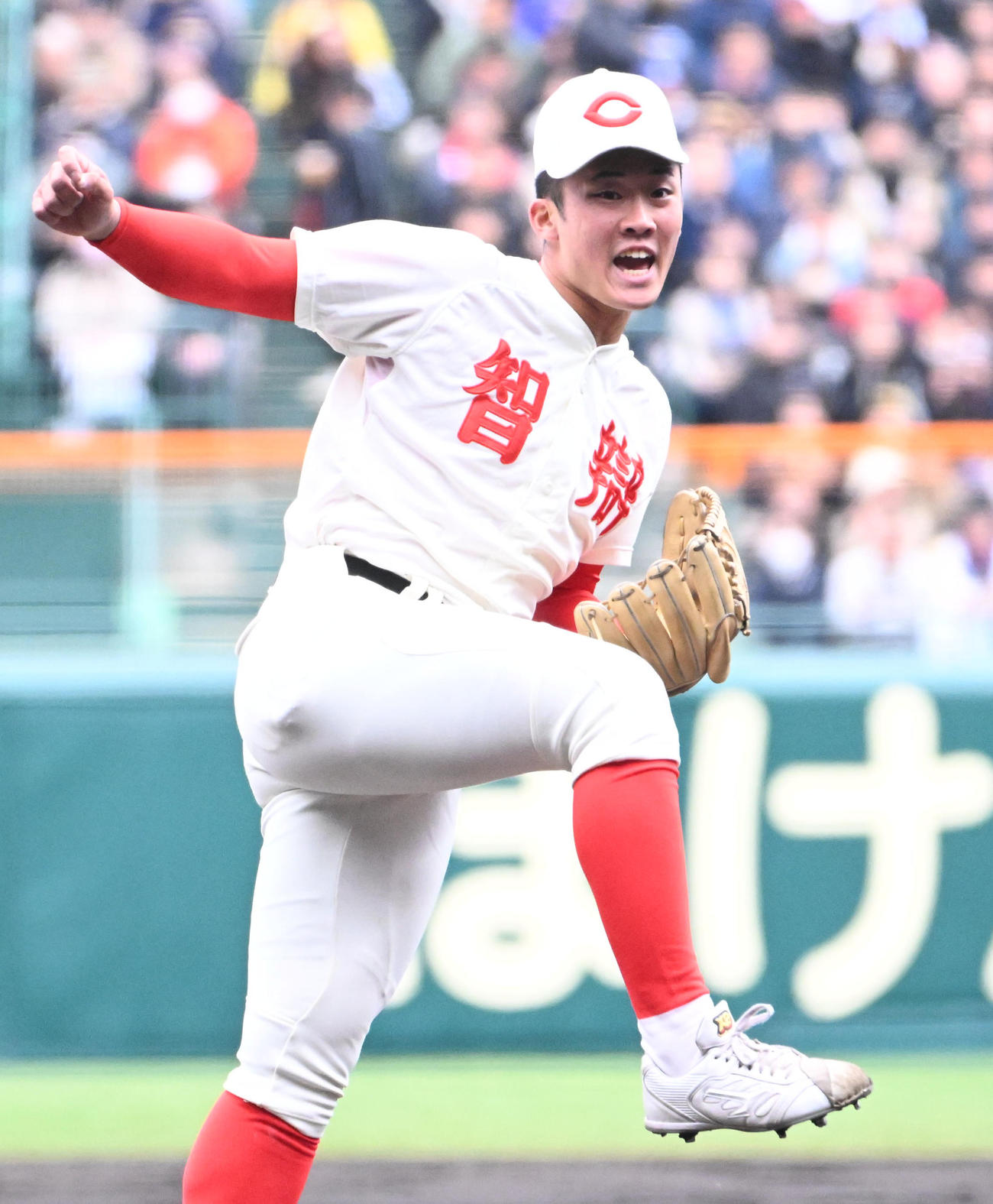 智弁和歌山対横浜　智弁和歌山の渡辺（撮影・石井愛子）