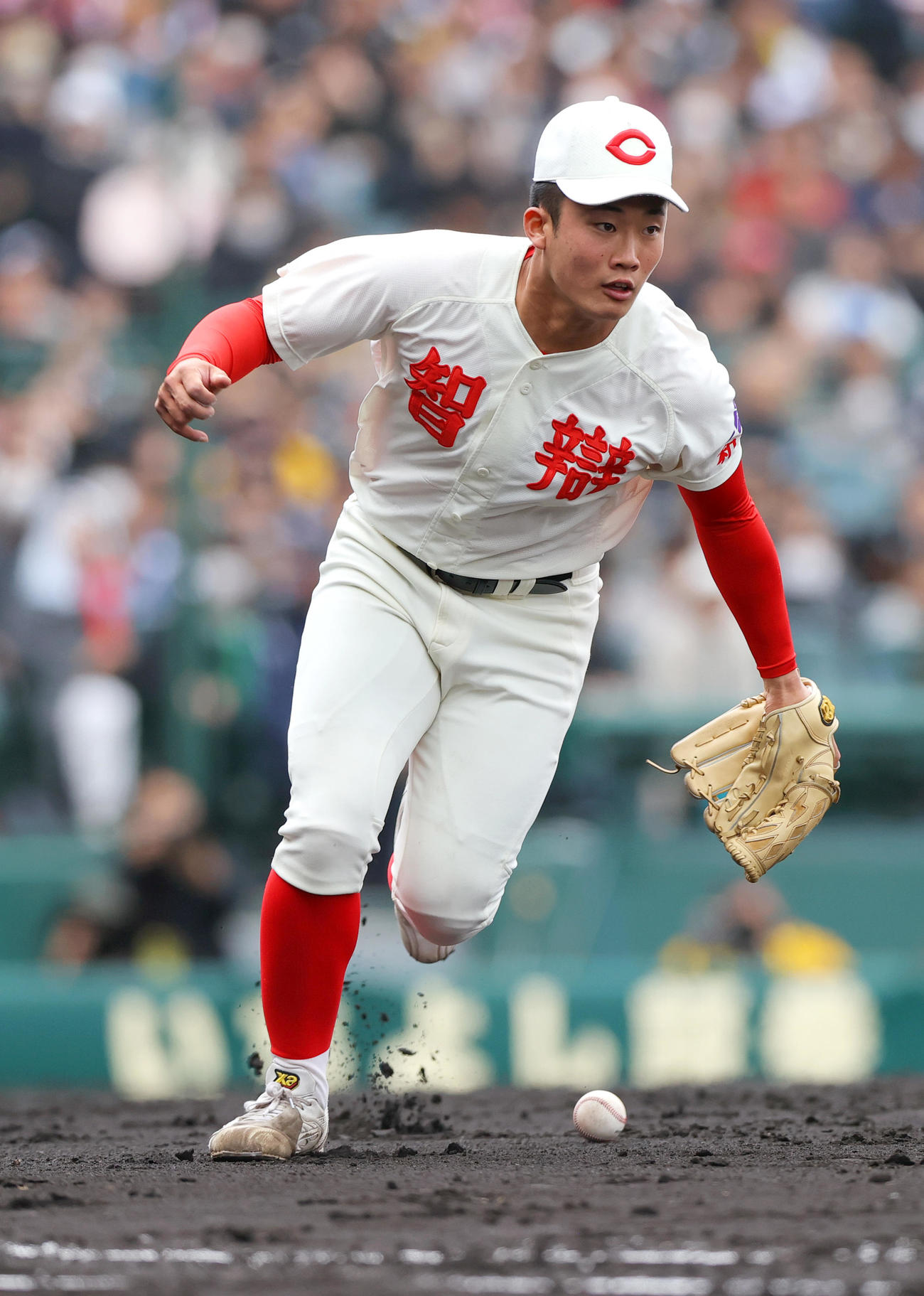 智弁和歌山対横浜　3回裏横浜無死一塁、渡辺は奥村凌の送りバントをファンブルする（撮影・上山淳一）