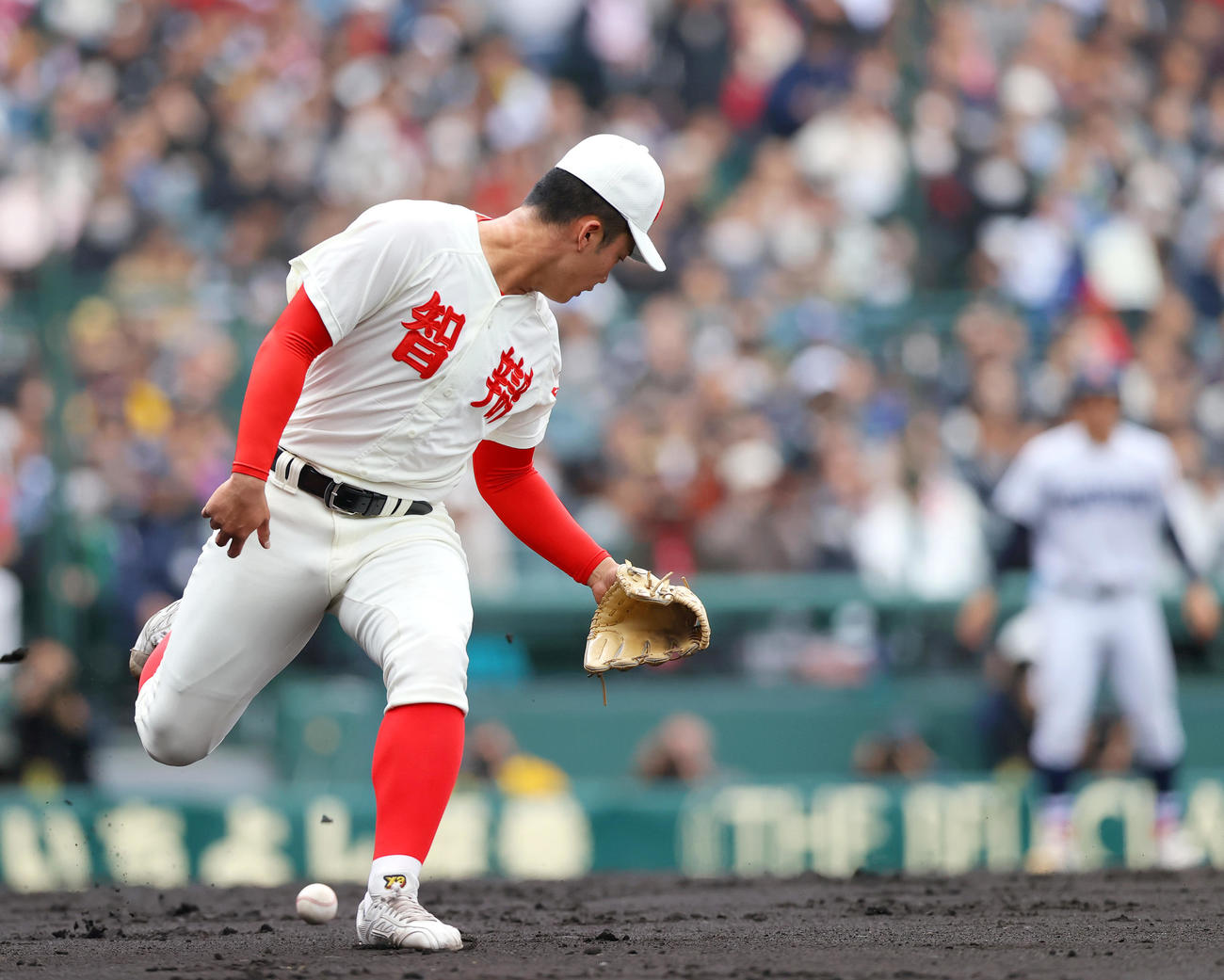 智弁和歌山対横浜　3回裏横浜無死一塁、渡辺は奥村凌の送りバントをファンブルする（撮影・上山淳一）