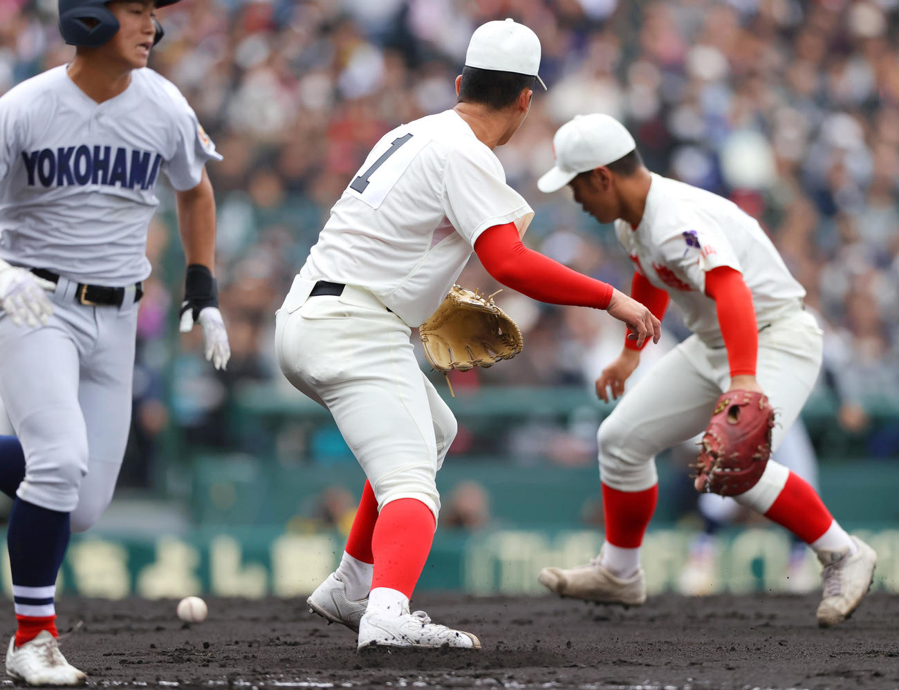 智弁和歌山対横浜　3回裏横浜無死一塁、渡辺（中央）は奥村凌の送りバントをファンブルする（撮影・上山淳一）