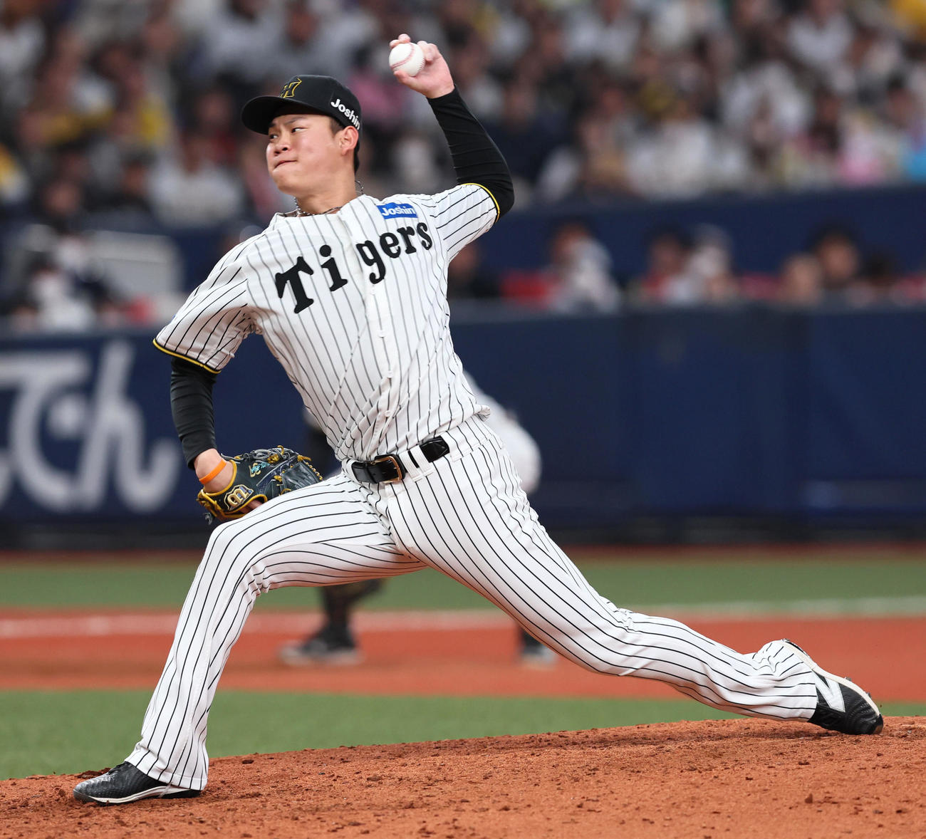 阪神及川雅貴（2025年3月22日撮影）