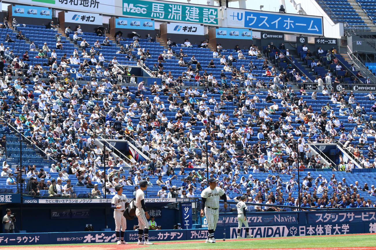 東海大相模対横浜　3塁側スタンド（撮影・北村健龍）