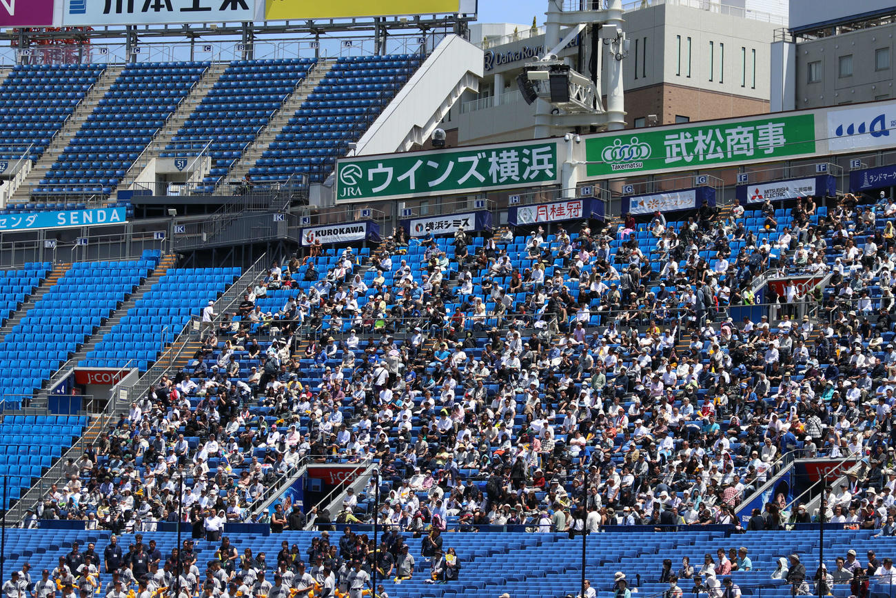 高校野球春季神奈川大会　決勝　東海大相模対横浜　多くのファンが詰めかけた一塁側スタンド（撮影・一樹）