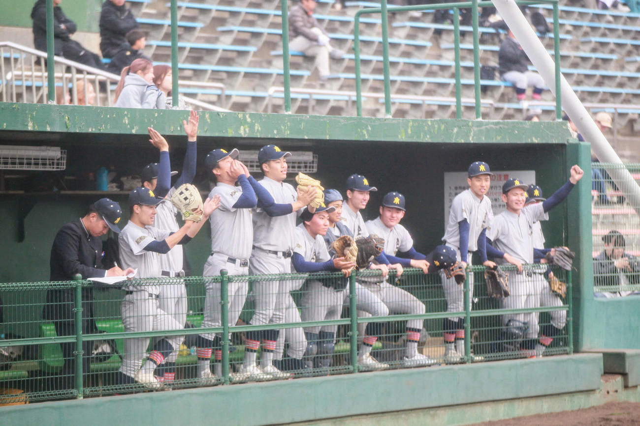 青森山田対黒石　勢いが止まらない打線に喜ぶ青森山田ベンチ（撮影・高橋香奈）
