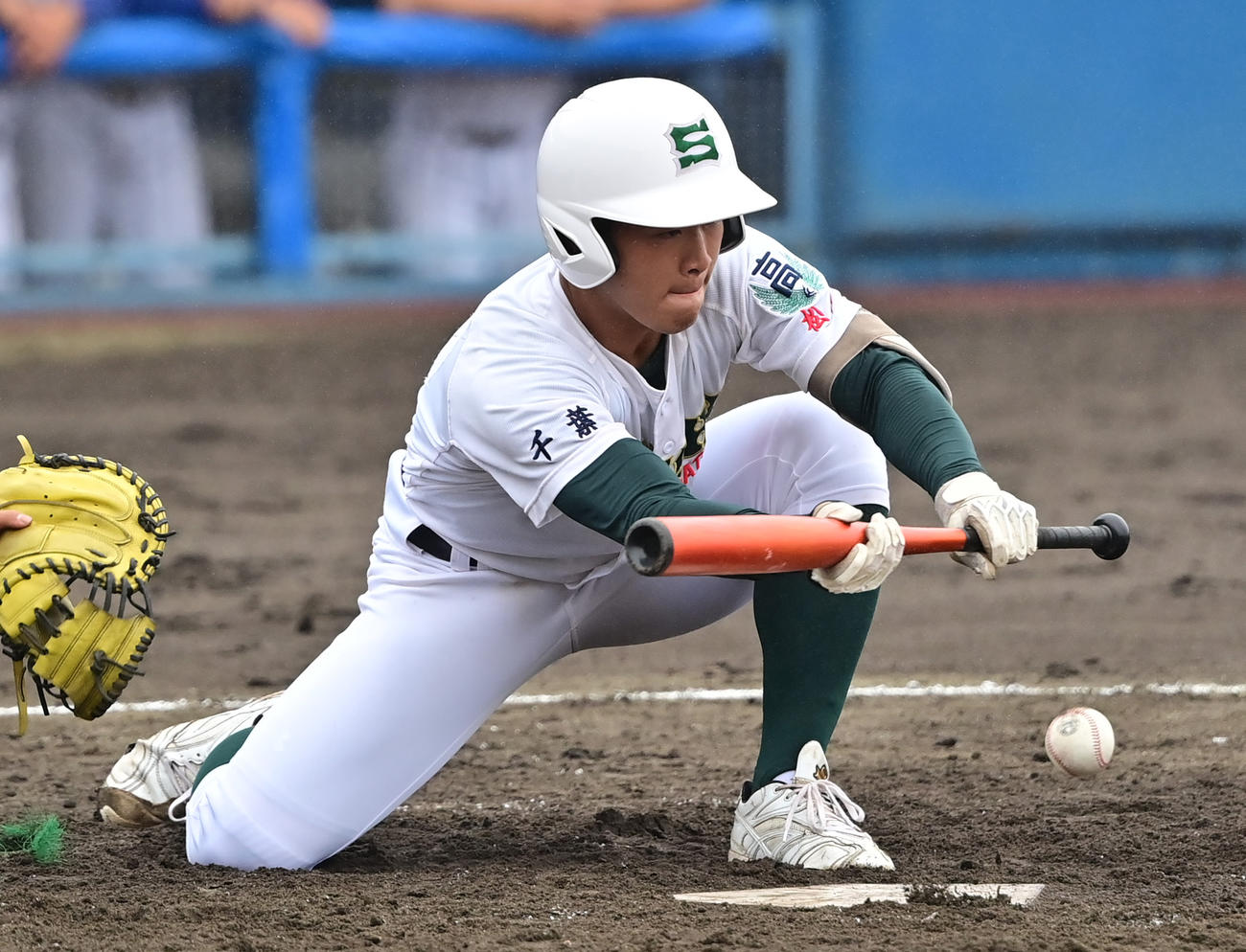 専大松戸対健大高崎　4回表専大松戸1死一、三塁、投前にスクイズを決める川島（撮影・清水貴仁）