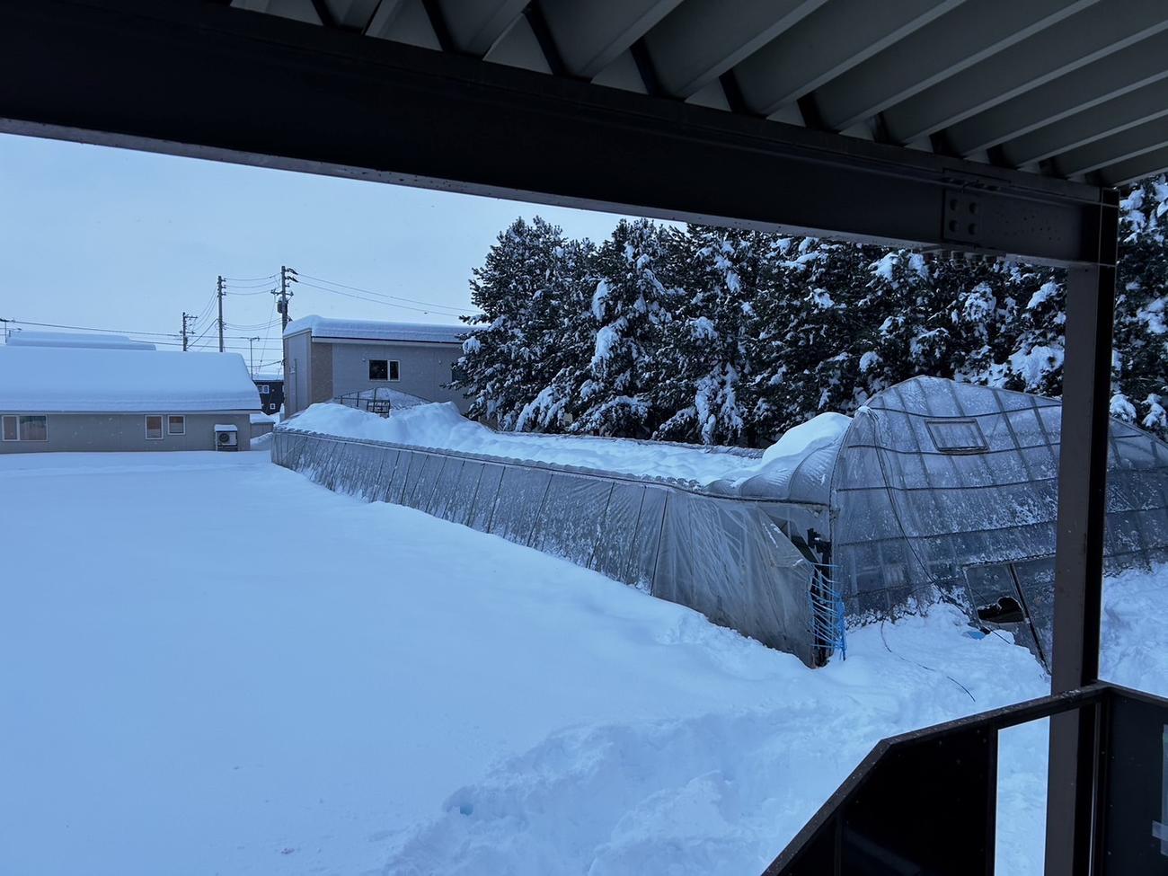 大雪で倒壊した芽室の室内練習場（同校提供）