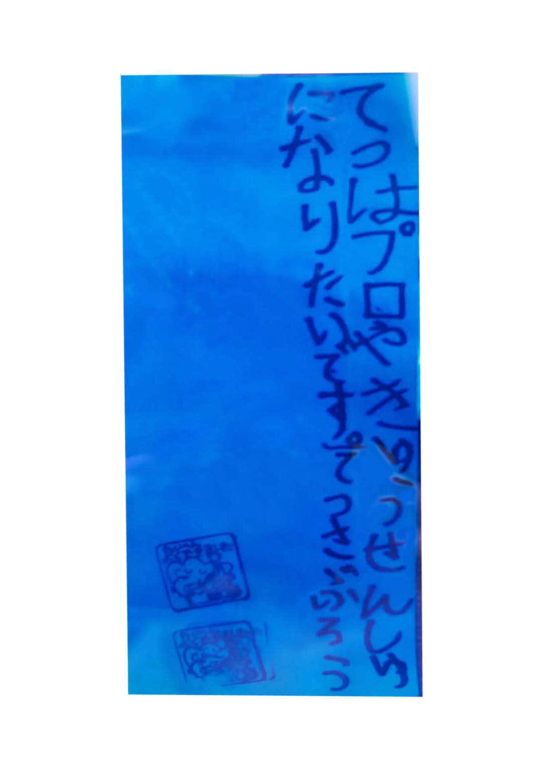 横浜の先発、小林鉄三郎が、幼稚園の比、七夕の短冊に書いた、将来の夢（家族提供）